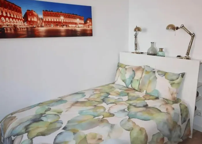 Apartman Beau Neuf Toulouse