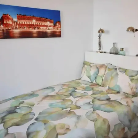 Appartamento Beau Neuf Tolosa